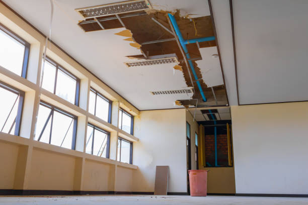 Best Water damage mitigation services  in Moody Af, GA