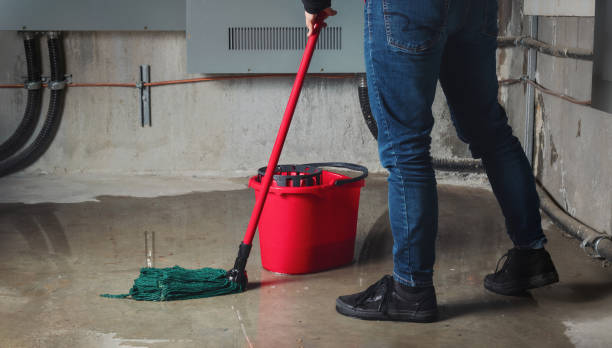 Best Water damage restoration services  in Moody Af, GA