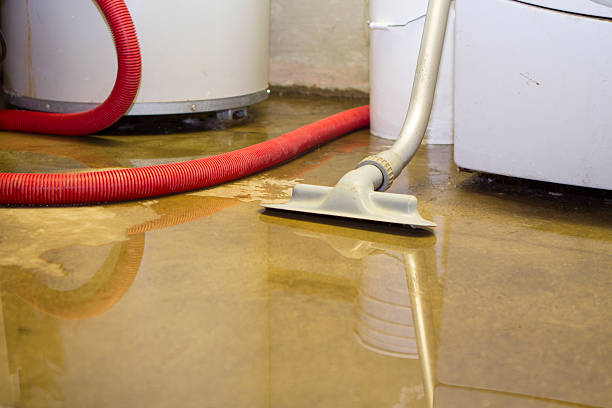Best Sewage cleanup and water damage restoration  in Moody Af, GA