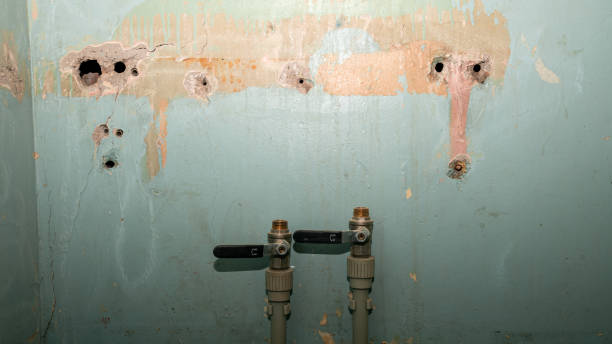 Best Water damage contractors near me  in Moody Af, GA
